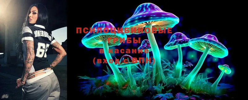 купить закладку  Боготол  Псилоцибиновые грибы Cubensis 